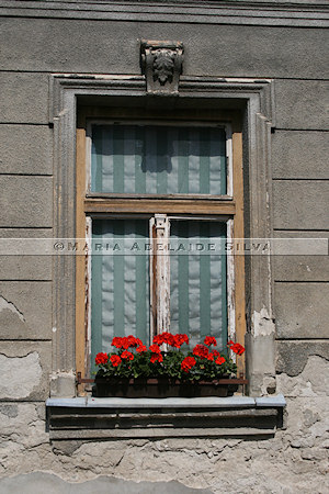 Varaždin · janela · window