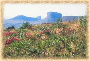 Chapada Diamantina