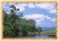 pantanal de Marimbus
