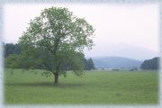 Cades Cove